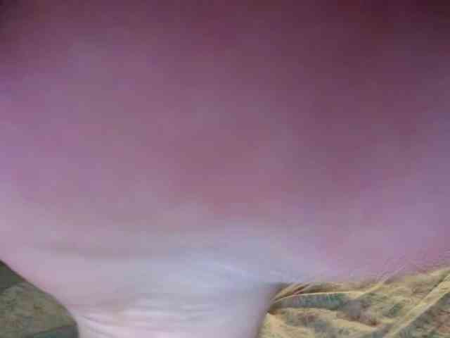 GoddessBratRosa webcam