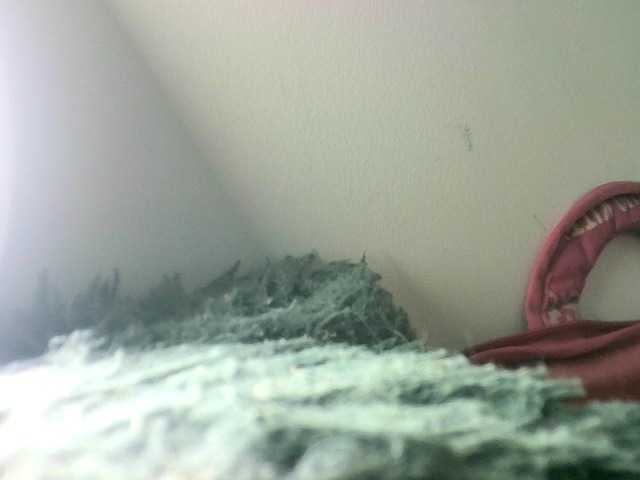  Bigmami-squirt chat room