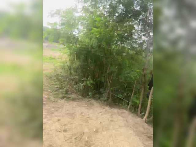 ROOMEXOTIC11's BongaCams show and profile