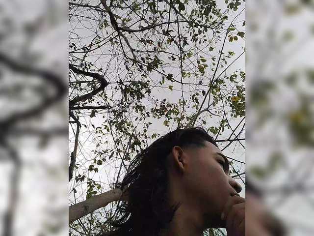 Preview of roomexotic11