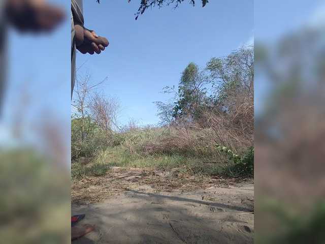 ROOMEXOTIC11's BongaCams profile