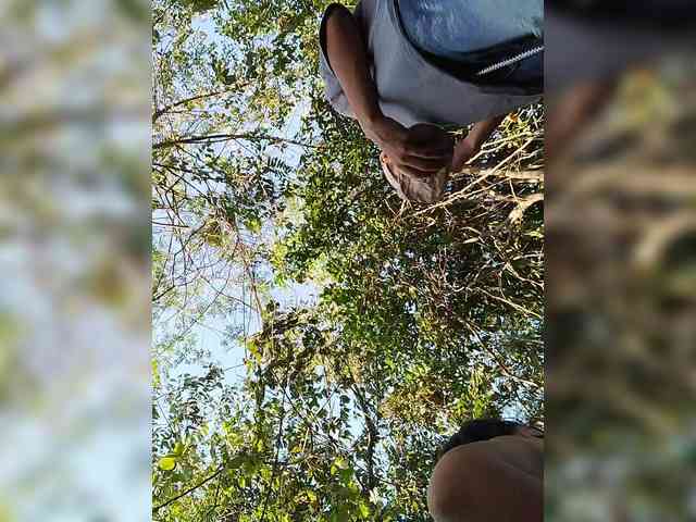 ROOMEXOTIC11 ROOMEXOTIC11