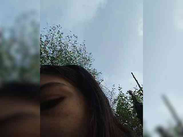 ROOMEXOTIC11 ROOMEXOTIC11