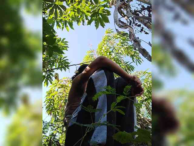 ROOMEXOTIC11 ROOMEXOTIC11