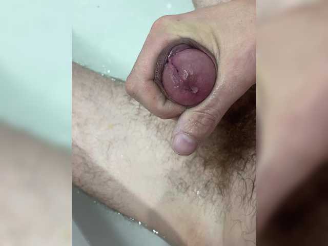 Denic13cm