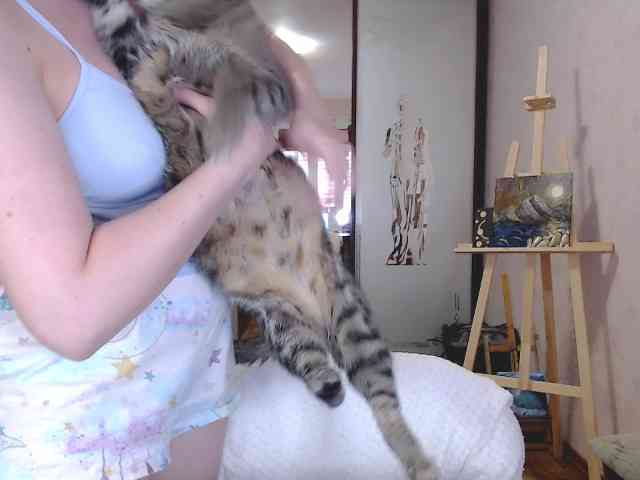 SophieCrush webcam