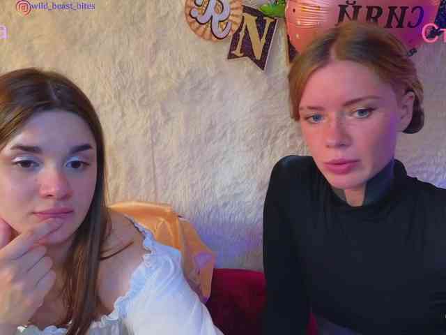 sex chat online SpaceDogs