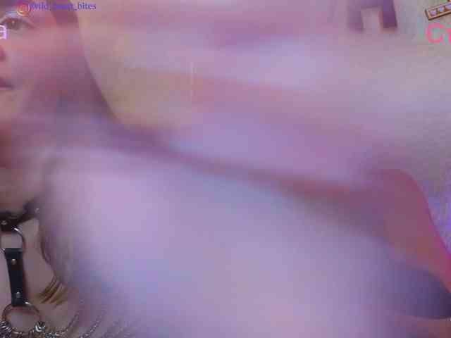 live video chat SpaceDogs