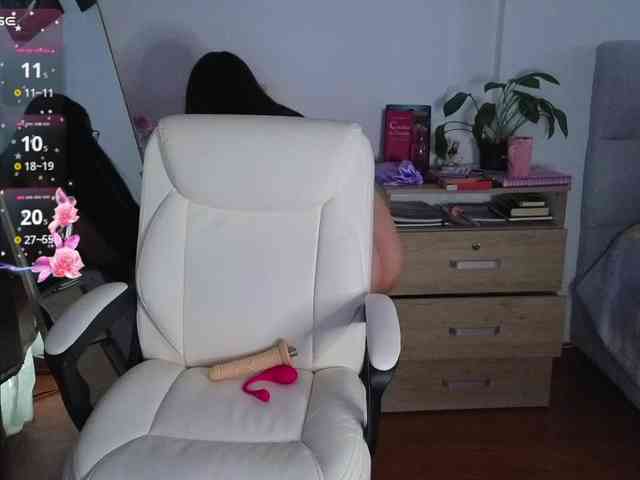 shekina webcam