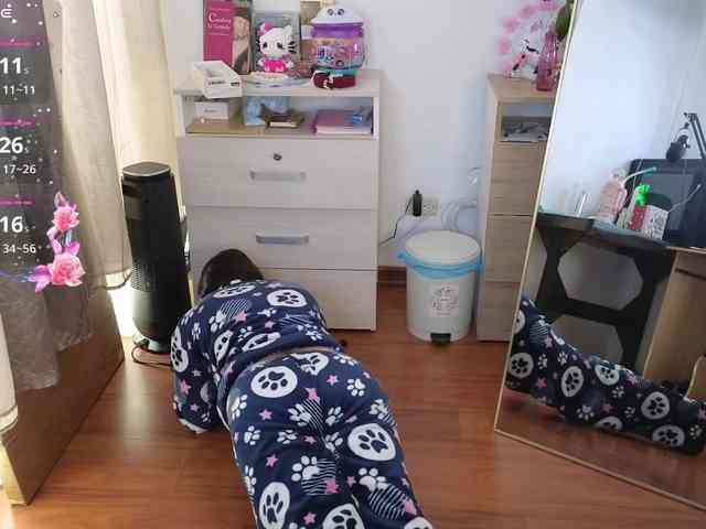 shekina webcam