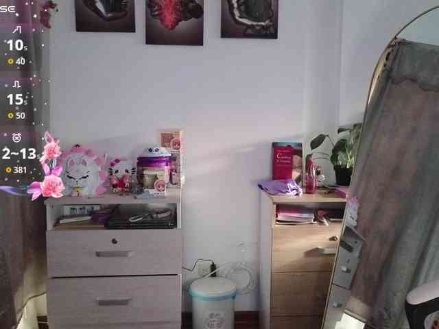 shekina webcam