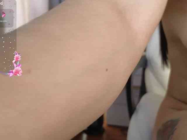 shekina webcam