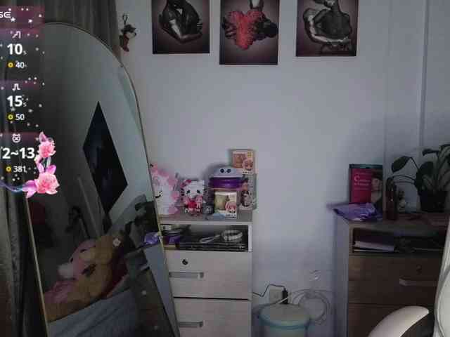 shekina webcam