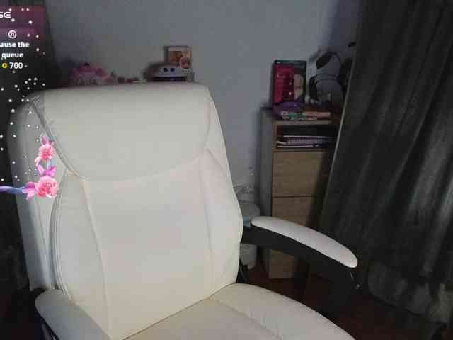 shekina webcam