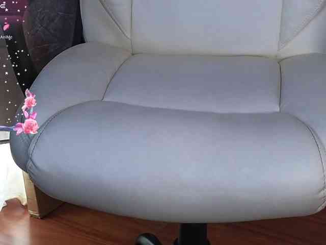 shekina webcam