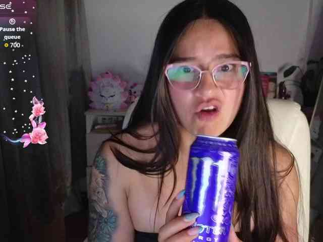 shekina webcam