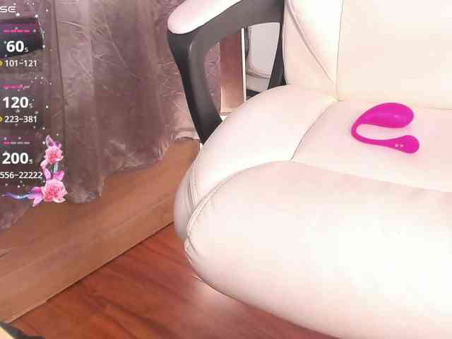 shekina webcam