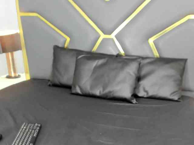 AidaGray webcam
