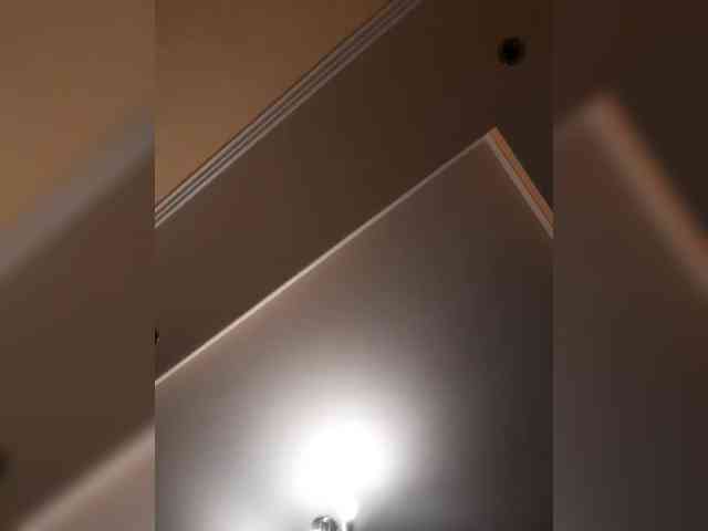 ParaMaund webcam