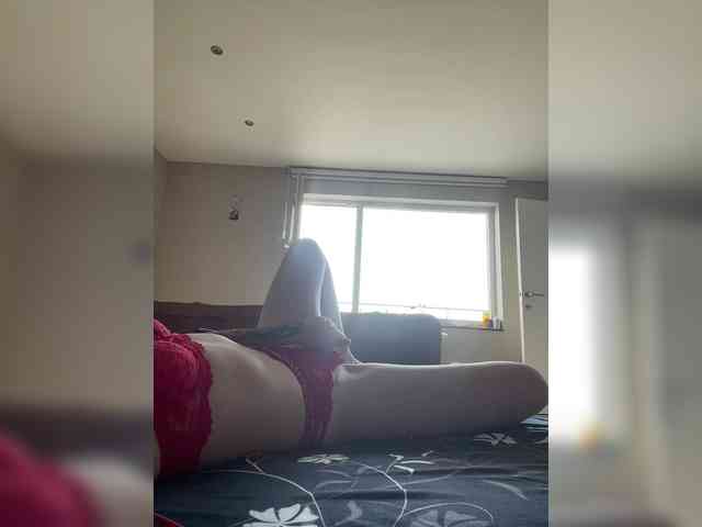 evax webcam
