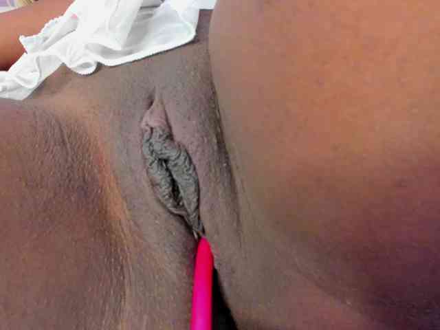 Venuswilds webcam