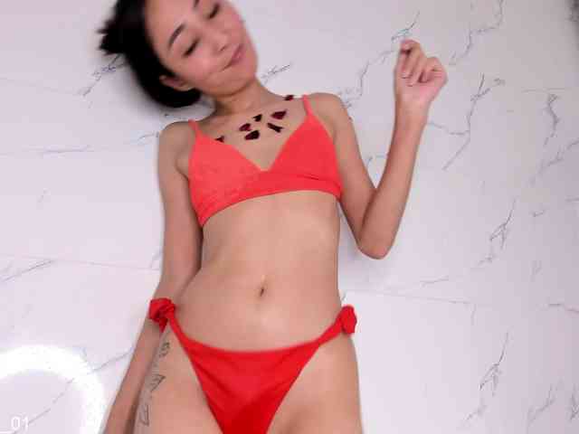 reisatumi webcam