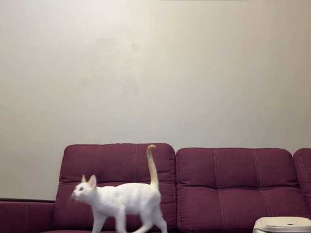 Iloniyaa's BongaCams show and profile