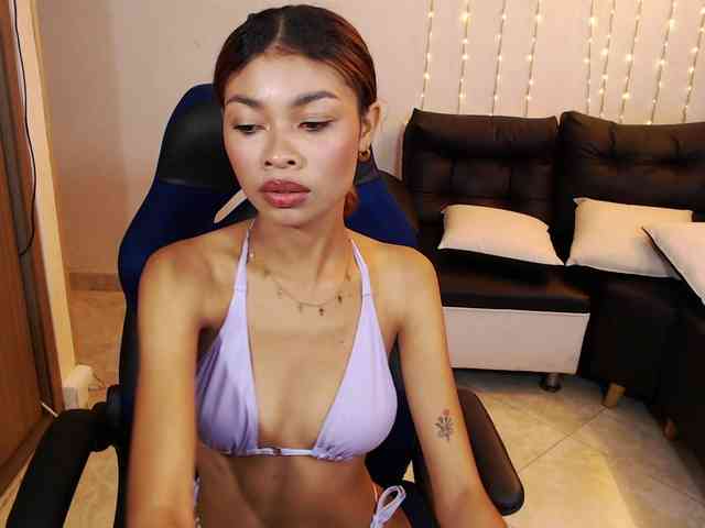 Perlast webcam