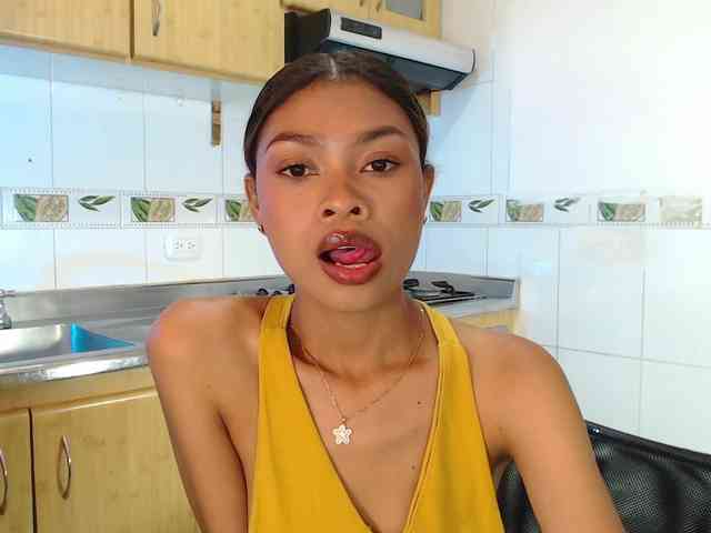 Perlast webcam