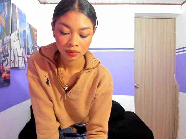 Perlast webcam