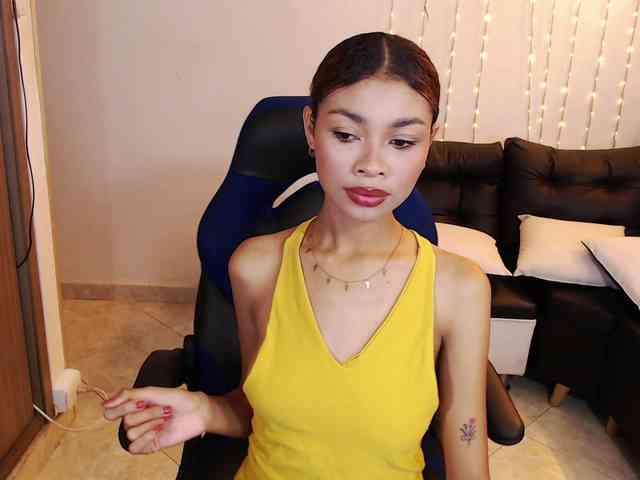 Perlast webcam