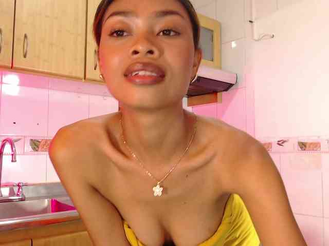 Perlast webcam