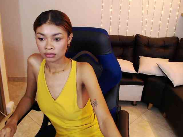 Perlast webcam