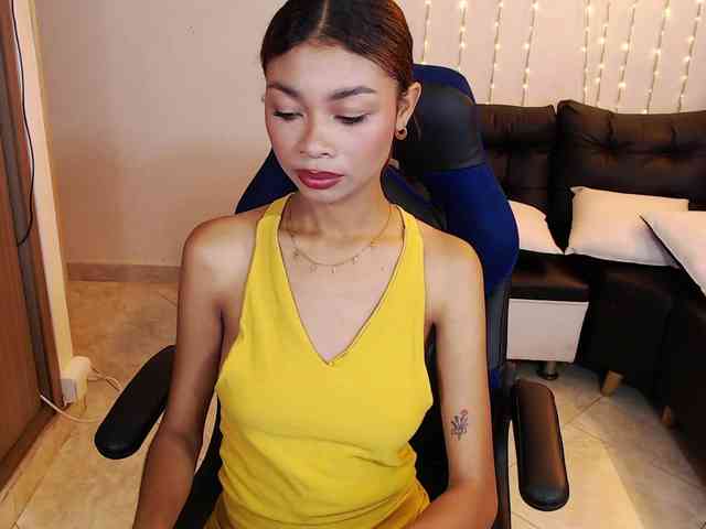Perlast webcam