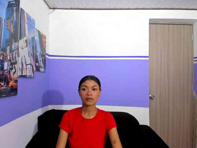 Perlast webcam