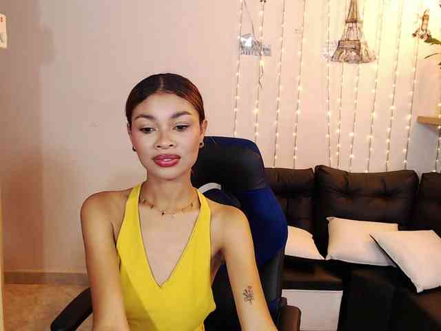 Perlast webcam