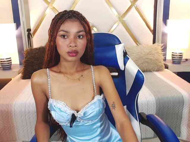 Perlast webcam