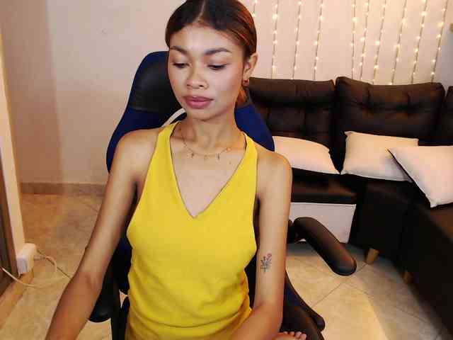 Perlast webcam