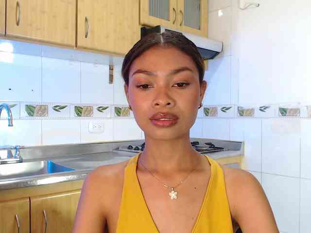 Perlast webcam