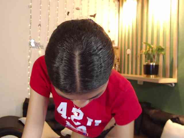 Perlast webcam