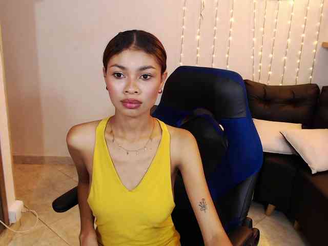 Perlast webcam