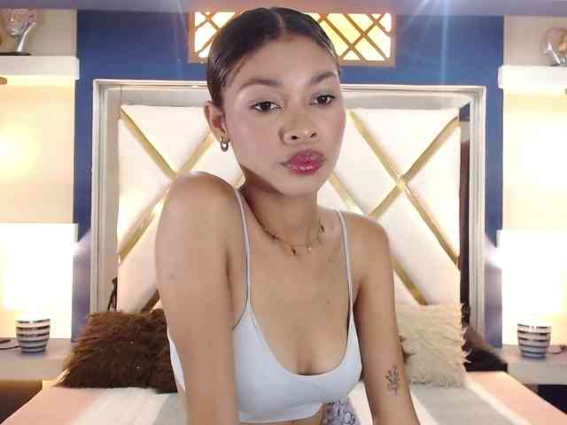 Perlast webcam