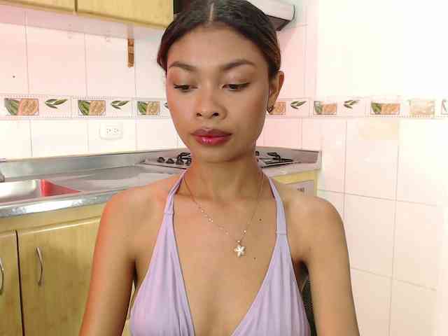 Perlast webcam