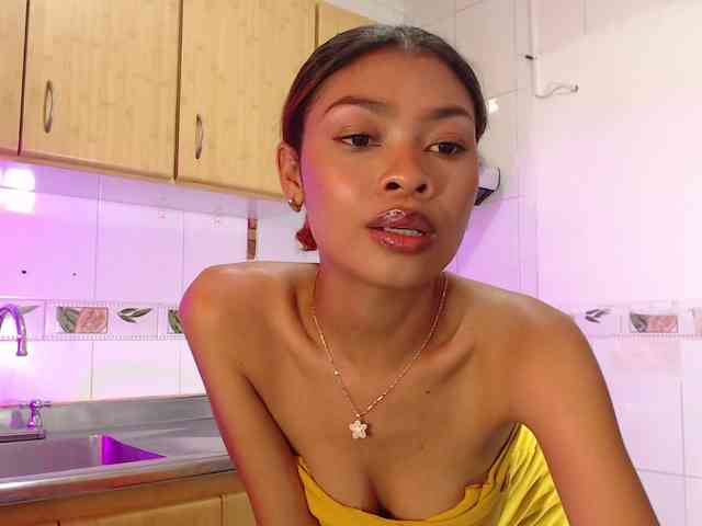 Perlast webcam