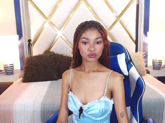 Perlast webcam