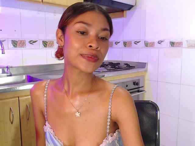 Perlast webcam