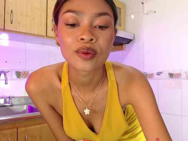 Perlast webcam