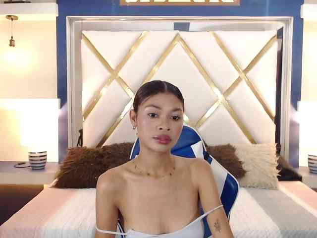 Perlast webcam