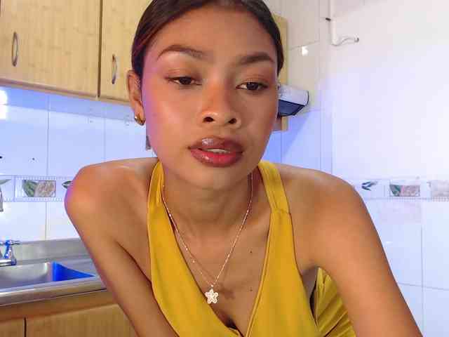 Perlast webcam