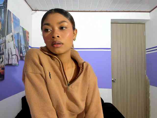 Perlast webcam